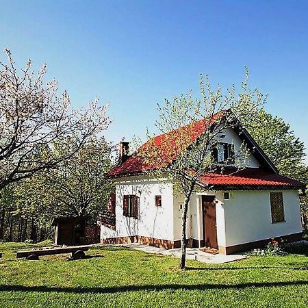 Holiday Home Coprnicka Hisa Skrad 외부 사진