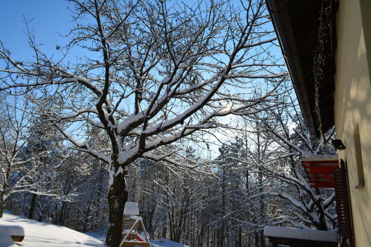 Holiday Home Coprnicka Hisa Skrad 외부 사진